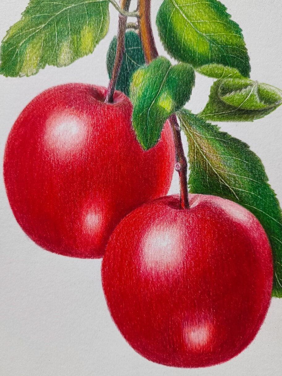 美术绘画视频苹果版(美术绘画视频苹果版教程)-第4张图片-有道翻译官网 美术绘画视频苹果版(美术绘画视频苹果版教程)-第4张图片-有道翻译官网