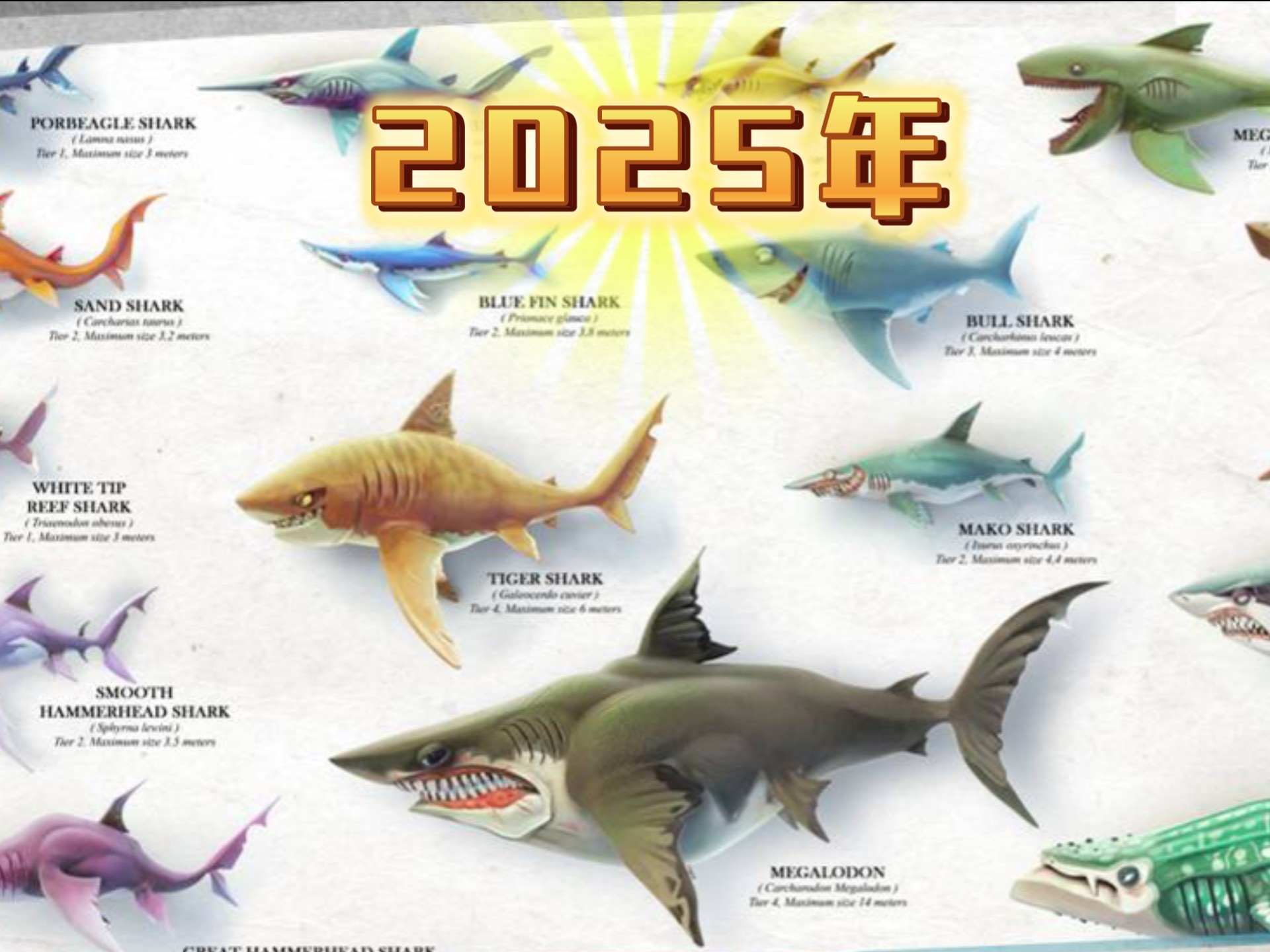 饥饿鲨世界国际版苹果版(饥饿鲨世界国际服无限下载)-第9张图片-有道翻译官网 饥饿鲨世界国际版苹果版(饥饿鲨世界国际服无限下载)-第9张图片-有道翻译官网