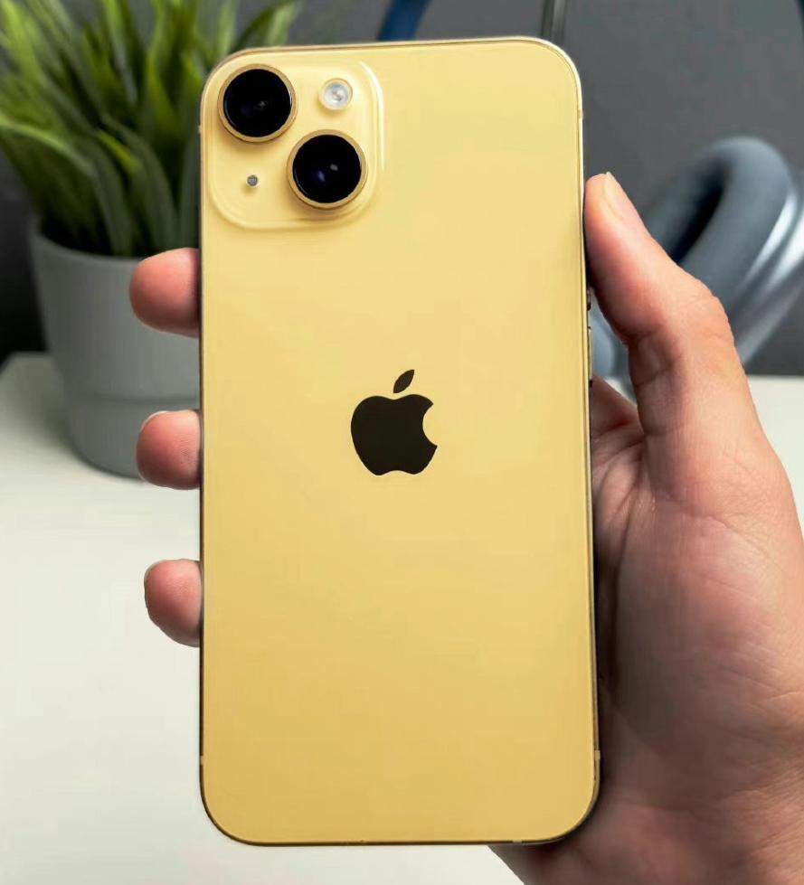 苹果11公开版和稳定版(iphone11公开版是什么)-第7张图片-有道翻译官网